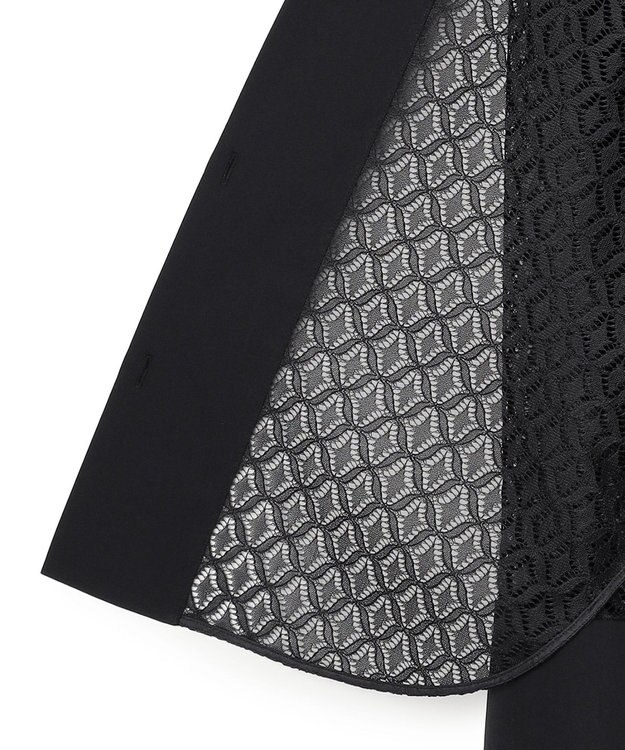 ICB 【WEB＆一部店舗限定】SustainableLace バンドカラー ブラウス ブラック系