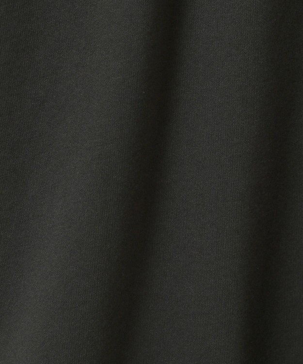 AMERICAN HOLIC FARM PARKプリントTシャツ Charcoal Gray