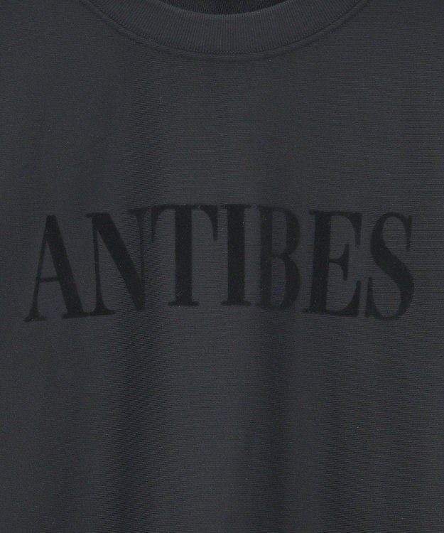 AMERICAN HOLIC Fairfield フロッキースウェットプルオーバー Black