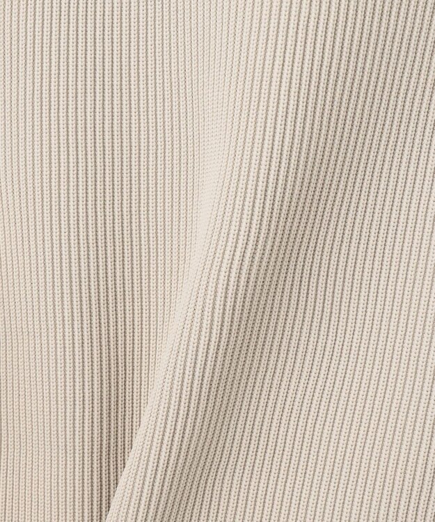 ICB L 【洗える】リサイクルポリエステルハイゲージ  ニットベスト トープ系