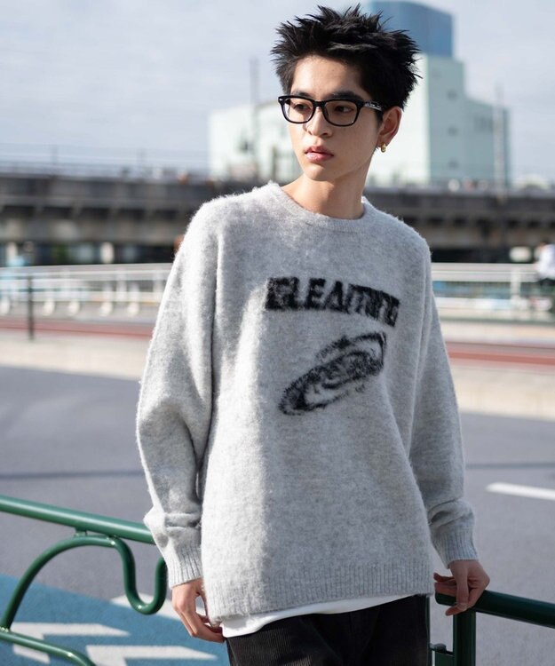 WEGO 【ユニセックス着用ITEM/MLサイズ展開】シャギーグラフィックプルオーバー グレー