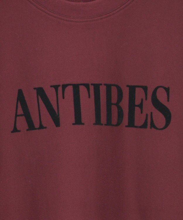 AMERICAN HOLIC Fairfield フロッキースウェットプルオーバー Bordeaux