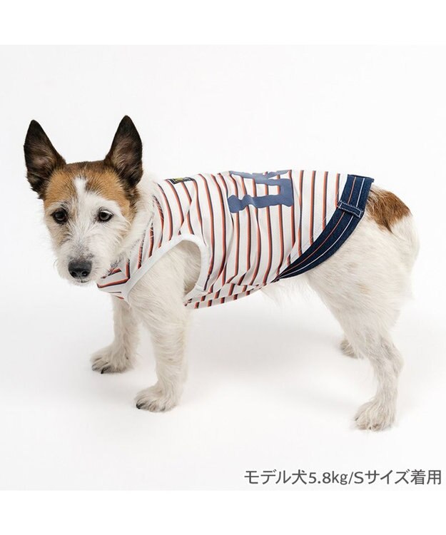 PET PARADISE Lee エコメイド ボーダー タンクトップ 小型犬 ネイビー×レッド