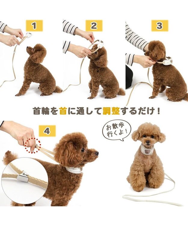 PET PARADISE ペットパラダイス リード付き首輪 《くまちゃん》 小型犬 ベージュ
