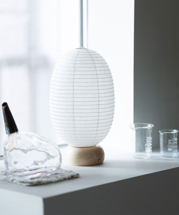 ちょうちん堂 【cocolan Muji】恐竜 ちょうちん ライト ホワイト