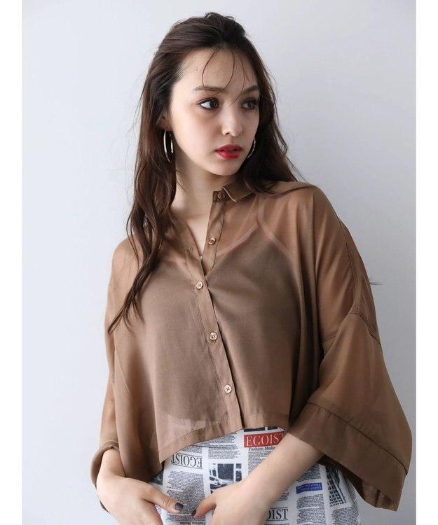 Green Parks ＥＧＯＩＳＴ　５分袖短丈シアーシャツ Brown
