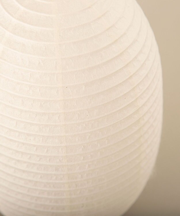 ちょうちん堂 【cocolan Muji】恐竜 ちょうちん ライト ホワイト