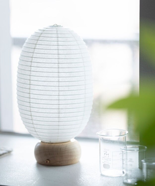 ちょうちん堂 【cocolan Muji】恐竜 ちょうちん ライト