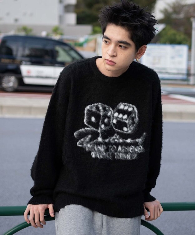 WEGO 【ユニセックス着用ITEM/MLサイズ展開】シャギーグラフィックプルオーバー ブラック