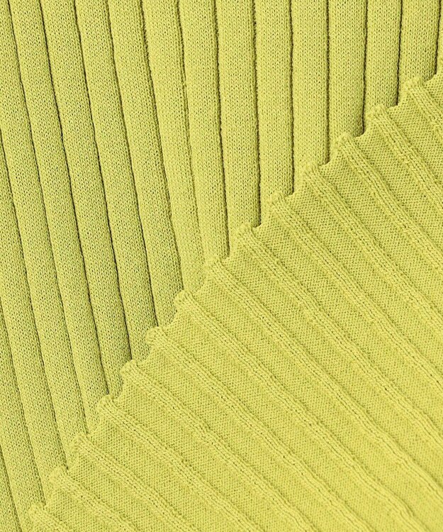 ANY L ポイントシアーリブニット アップルグリーン