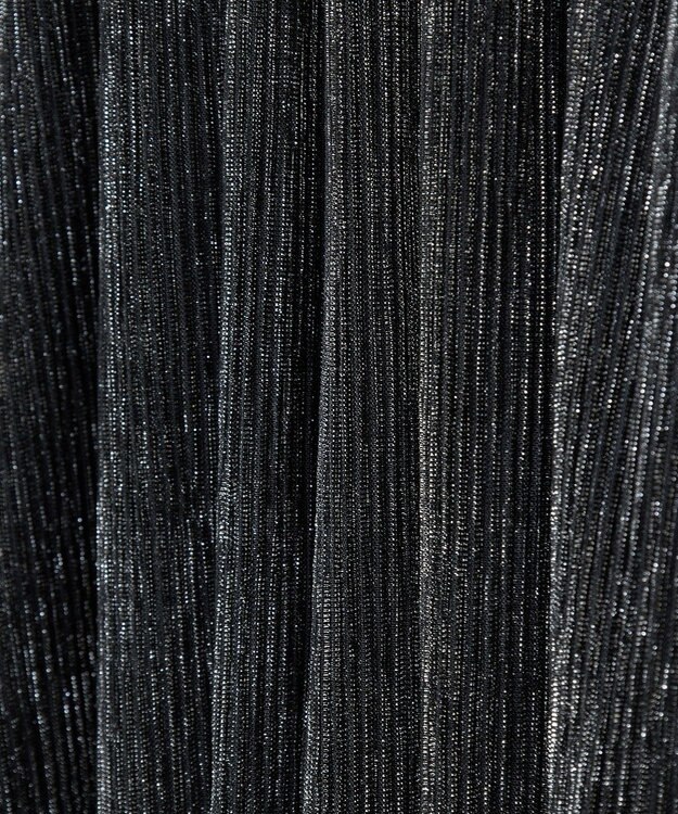 Green Parks ・ＥＬＥＮＣＡＲＥ　ＤＵＥ　ラメプリーツスカート Black