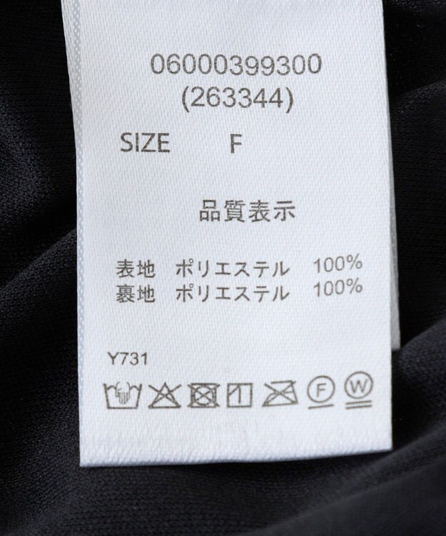 Green Parks ・ＥＬＥＮＣＡＲＥ　ＤＵＥ　ラメプリーツスカート Black