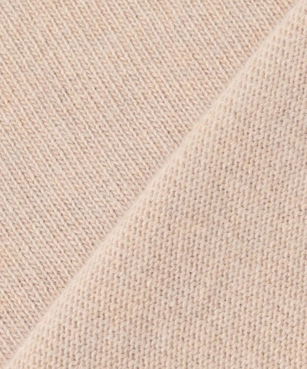 J.PRESS LADIES L 【洗える】CAT プルオーバー ニット ベージュ系