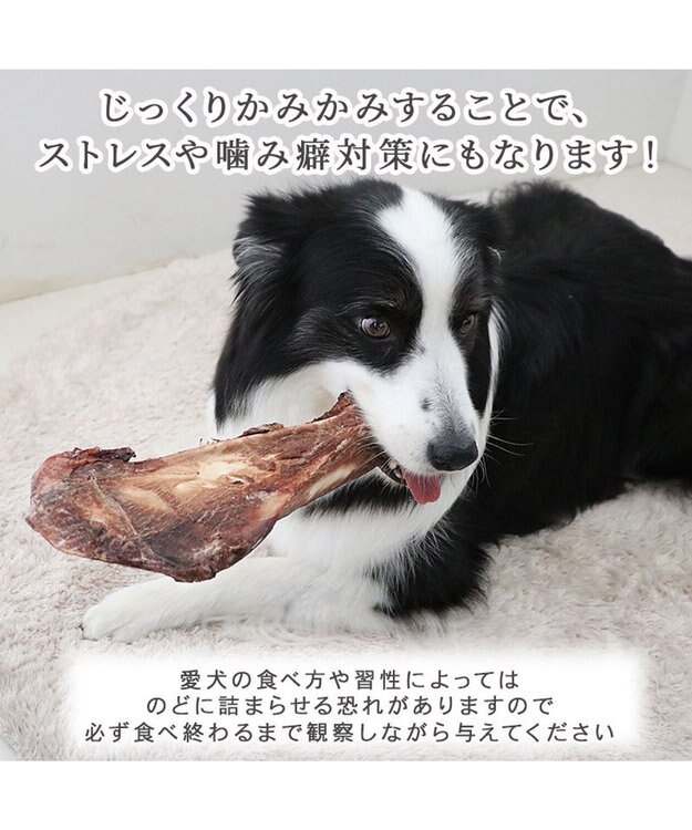 PET PARADISE 鹿 肩甲骨 デンタルおやつ Lサイズ×1本 純国産 鹿 肩甲骨
