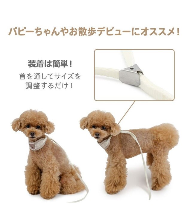 PET PARADISE ペットパラダイス リード付き首輪 《くまちゃん》 小型犬 ベージュ