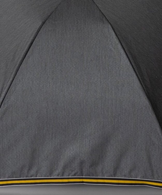 AURORA Beaurance （ビューランス）晴雨兼用傘（トップフラット） チャコールグレー