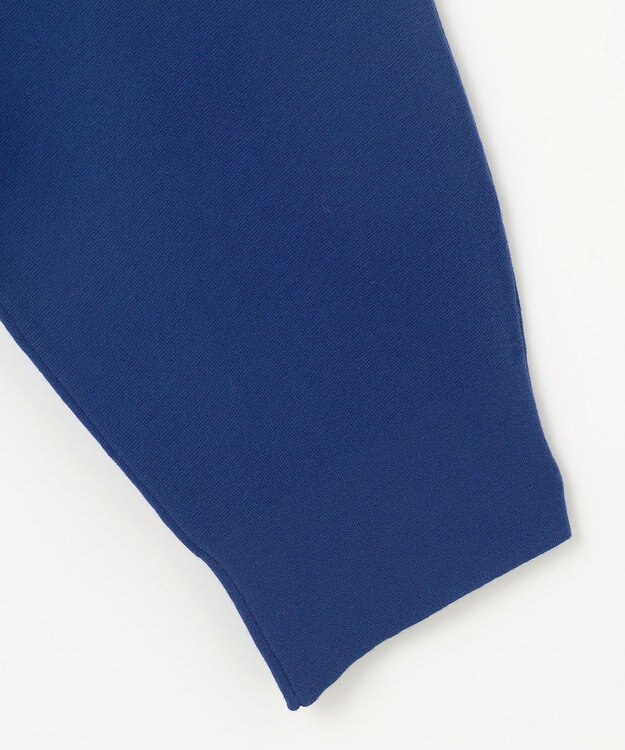 自由区 L 【セットアップ対応・洗える】レーヨンストレッチプルオーバー ニット ブルー