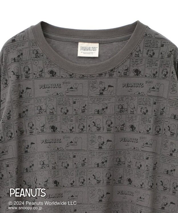 Green Parks ■ＰＥＡＮＵＴＳ　コミックロンＴ Charcoal Gray