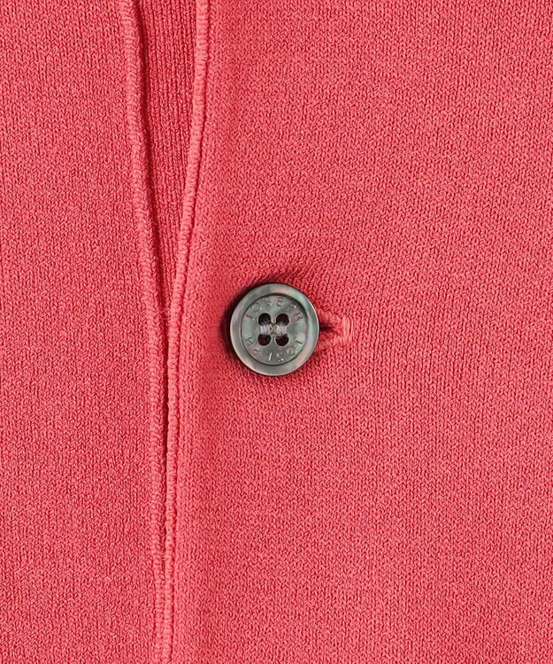 JOSEPH HOMME 【WEB限定カラーあり】【洗える/ストレッチ】リュクスレーヨン　ポロニット オールドローズ系