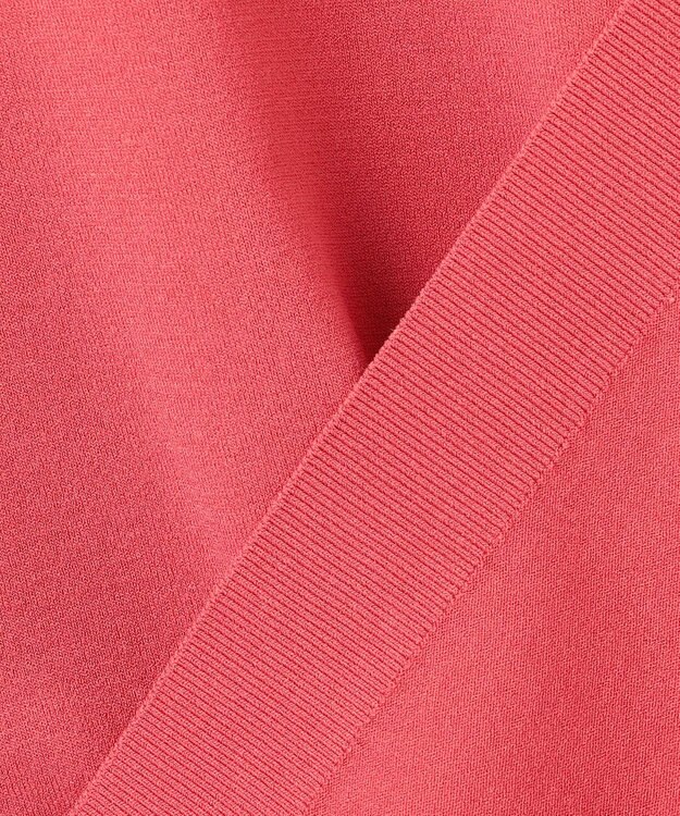 JOSEPH HOMME 【WEB限定カラーあり】【洗える/ストレッチ】リュクスレーヨン　ポロニット オールドローズ系