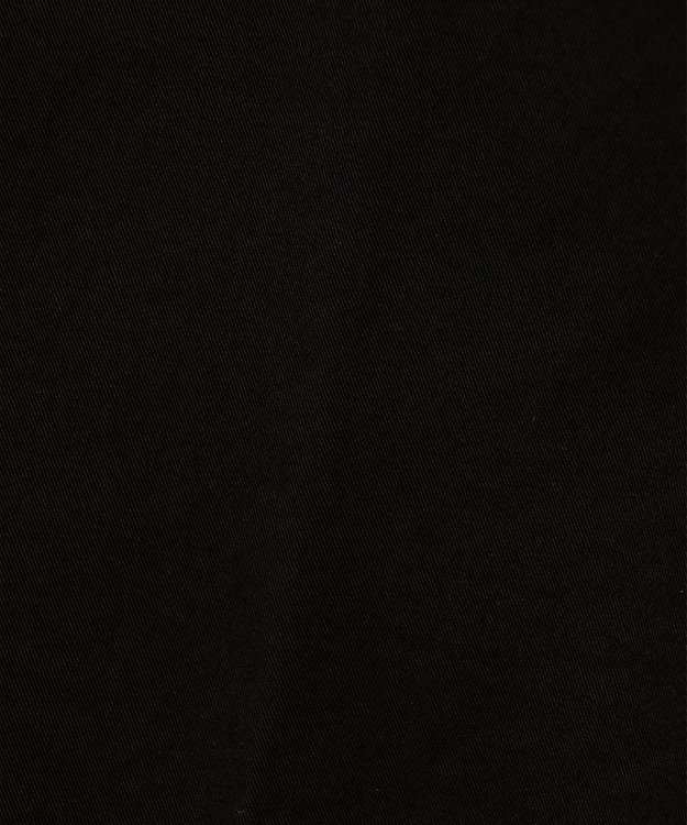 GOTAIRIKU 【BERWICH】ベルウィッチ 1タック スラックス ブラック系