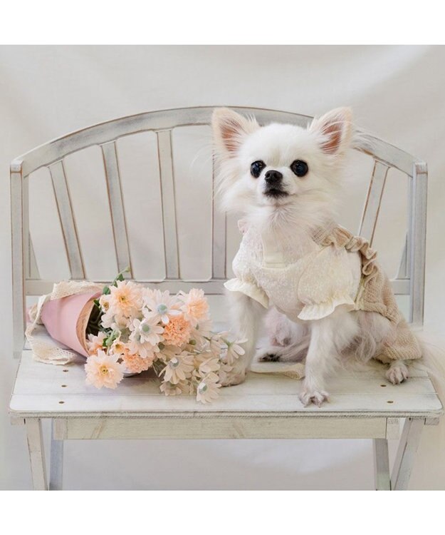 PET PARADISE ペットパラダイス ニット風パンツつなぎ 小型犬 ベージュ