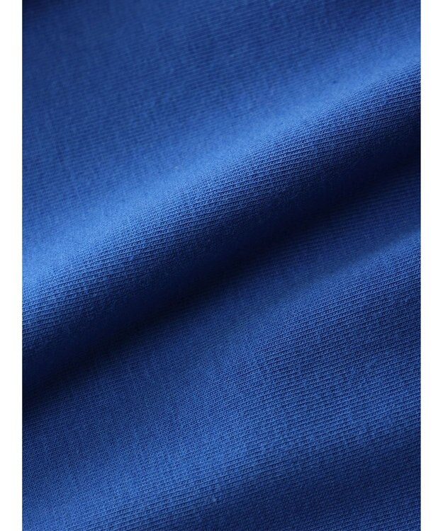 Green Parks ＥＧＯＩＳＴ　配色ラインキャミソール Blue