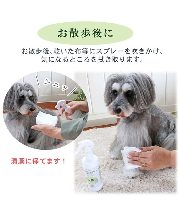 PET PARADISE ペット 消臭スプレー エチケットウォーターｎ（ネイチャー） 詰替用 250mL 詰替用