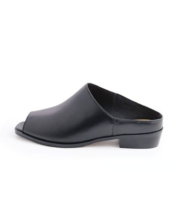 APOM カバーミュール30 ブラック