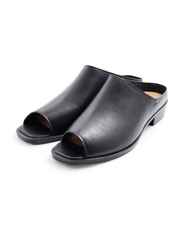 APOM カバーミュール30 ブラック