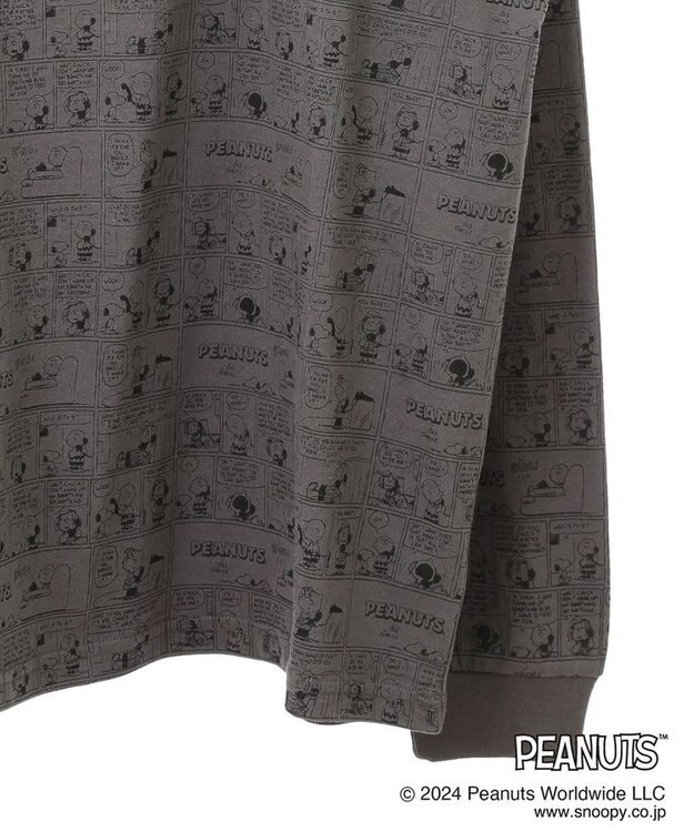 Green Parks ■ＰＥＡＮＵＴＳ　コミックロンＴ Charcoal Gray