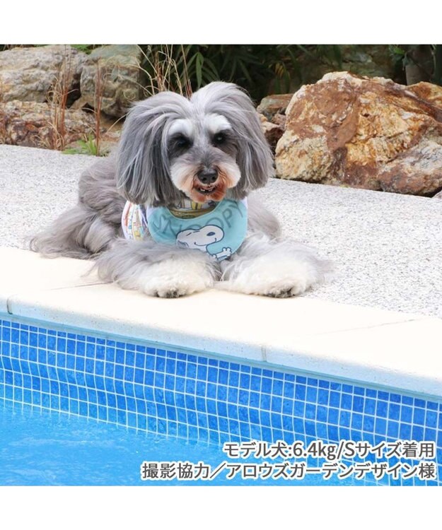 PET PARADISE スヌーピー ポケットクール タンクトップ 《サマータイム》 小型犬 サマータイム