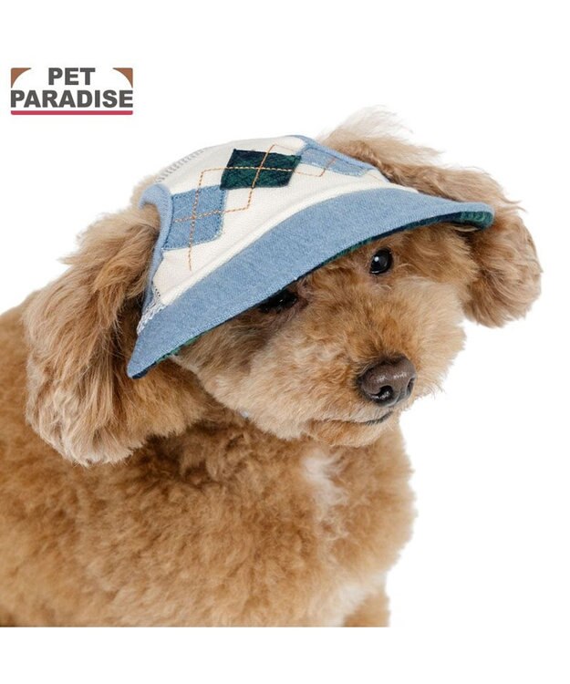 PET PARADISE ペットパラダイス アーガイル柄 帽子 ４Ｓ～３Ｓ/ＳＳ～Ｓ ライトインディゴブルー