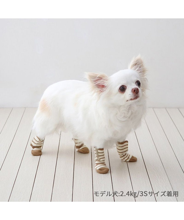 PET PARADISE ペットパラダイス makokoro スリット 靴下 《ボーダー》  Ｓ 小型犬 ボーダー