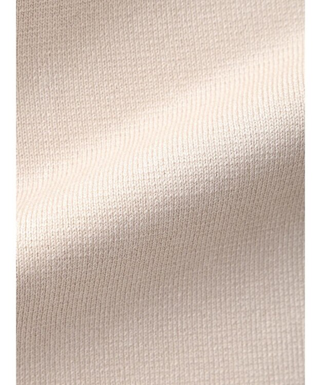 AMERICAN HOLIC Ｖネックニットベスト Gray Beige