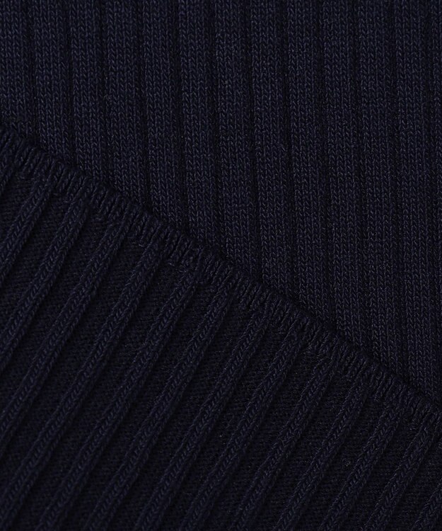 ANY SIS L 【アンサンブル対応】バイカラーリブ ニット ネイビー×オフ