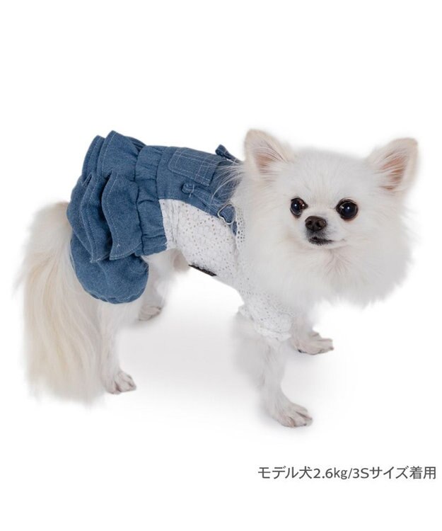 PET PARADISE ペットパラダイス レース襟 パンツつなぎ 小型犬　 ホワイト×ネイビー