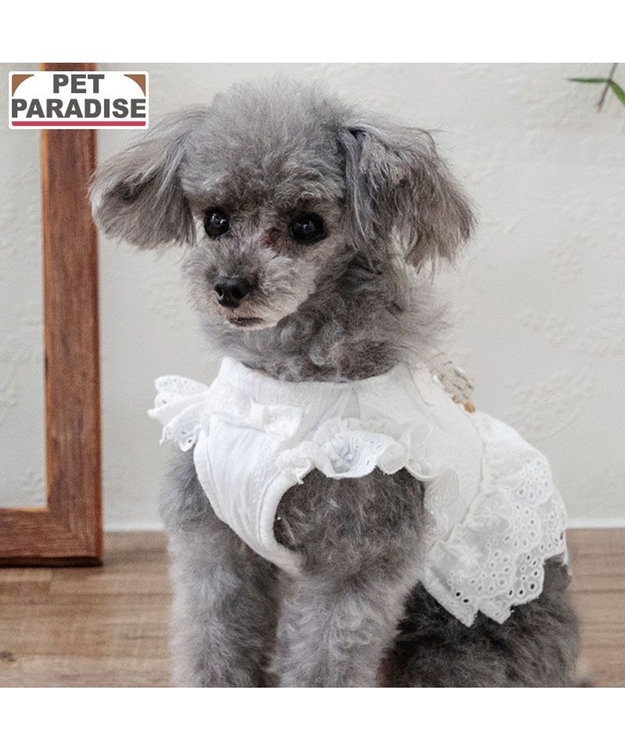 PET PARADISE ペットパラダイス コットンフリル ベストハーネス Ｓ ホワイト