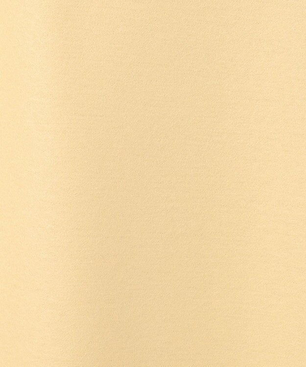 BEIGE， 【S-size】CORBY / フレアスカート Maize