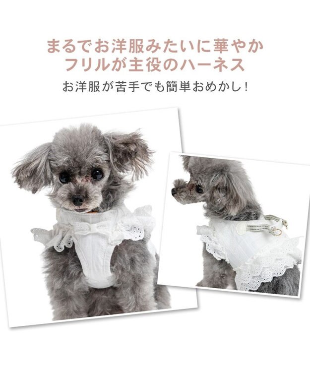 PET PARADISE ペットパラダイス コットンフリル ベストハーネス Ｓ ホワイト