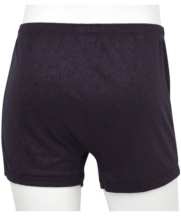 WACOAL MEN トランクス【らく窓パンツ】ボタン開閉の手間なし 中が見えにくい設計  前開き 下着 WT5423  /ワコールメン レッド