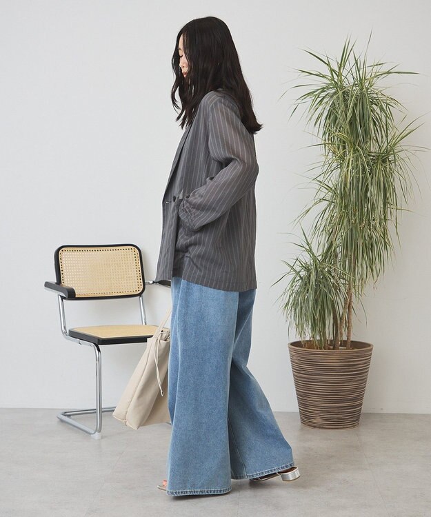 AMERICAN HOLIC シアーストライプジャケット Charcoal Gray