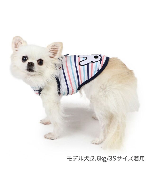 PET PARADISE リサとガスパール ポケットクール タンクトップ 《ボーダー》 小型犬 ボーダー