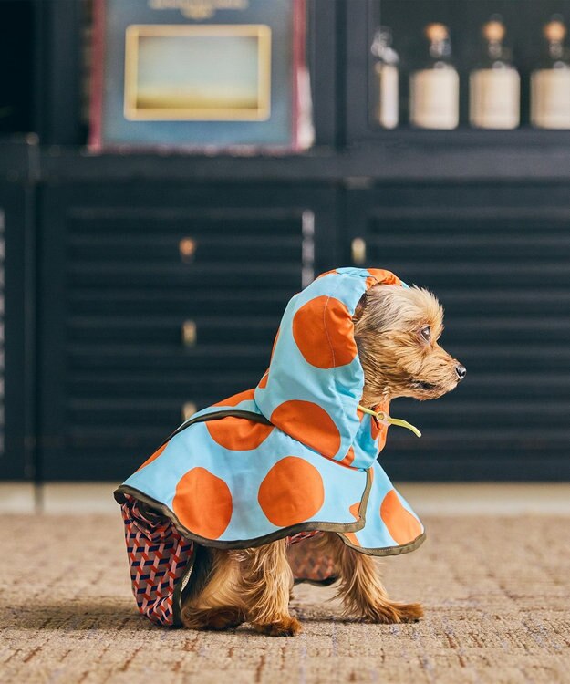 COQ DOTS CROSS ドッグポンチョ レインコート スカイブルー