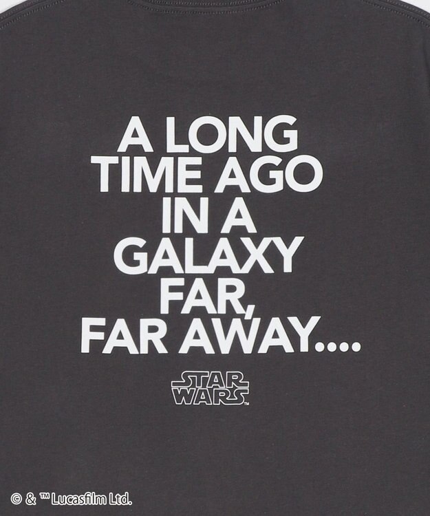 WEGO 【ディスニー/マーベル/スター・ウォーズ/ユニセックス着用ITEM/SMLサイズ展開】キャラクターズグラフィックT2（SS） 柄9