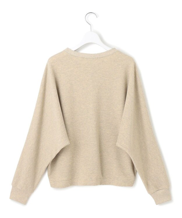 23区 【洗える】シャイニーコットンテリー ドルマン スウェット ベージュ系