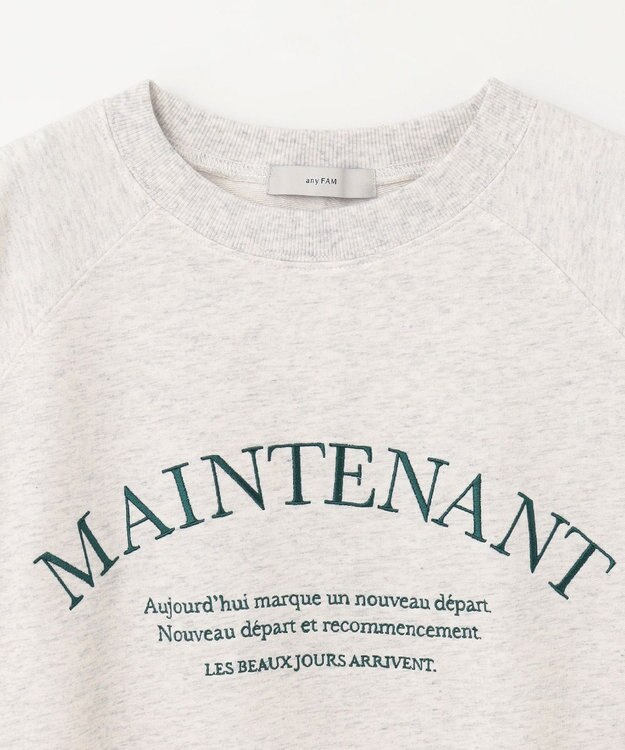 ANY L 【UVケア/洗濯機可】ロゴスウェットプルオーバー グレー