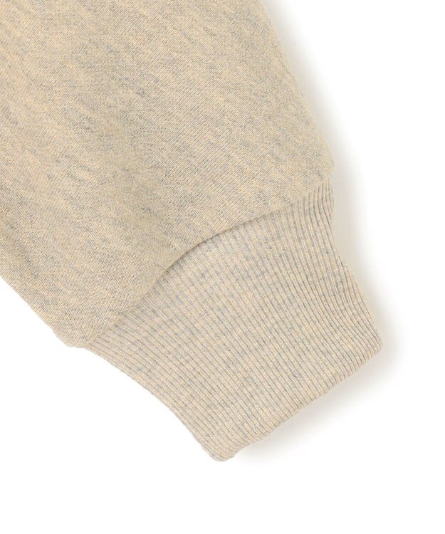 23区 【洗える】シャイニーコットンテリー ドルマン スウェット ベージュ系