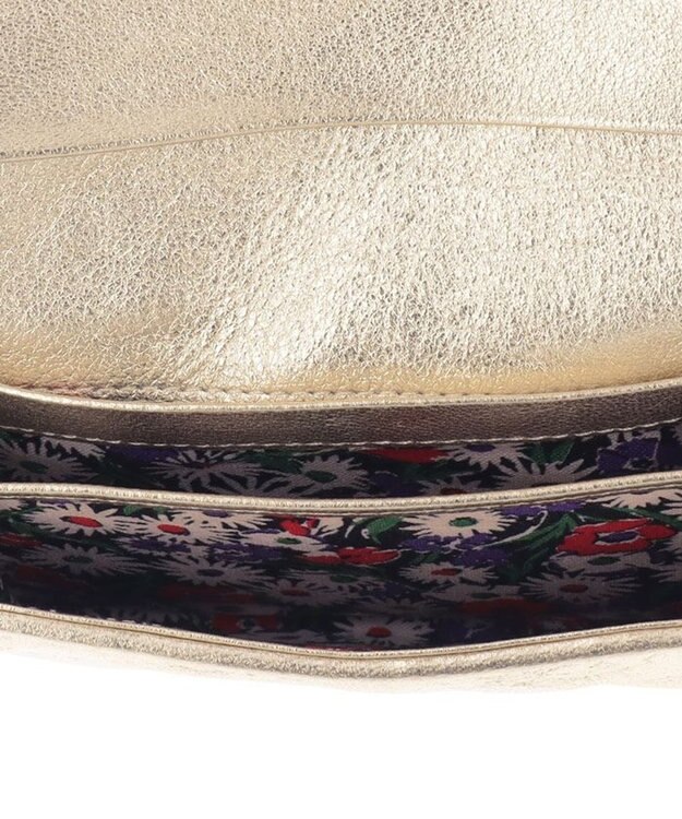 ANNA SUI チェイス マルチケース ゴールド