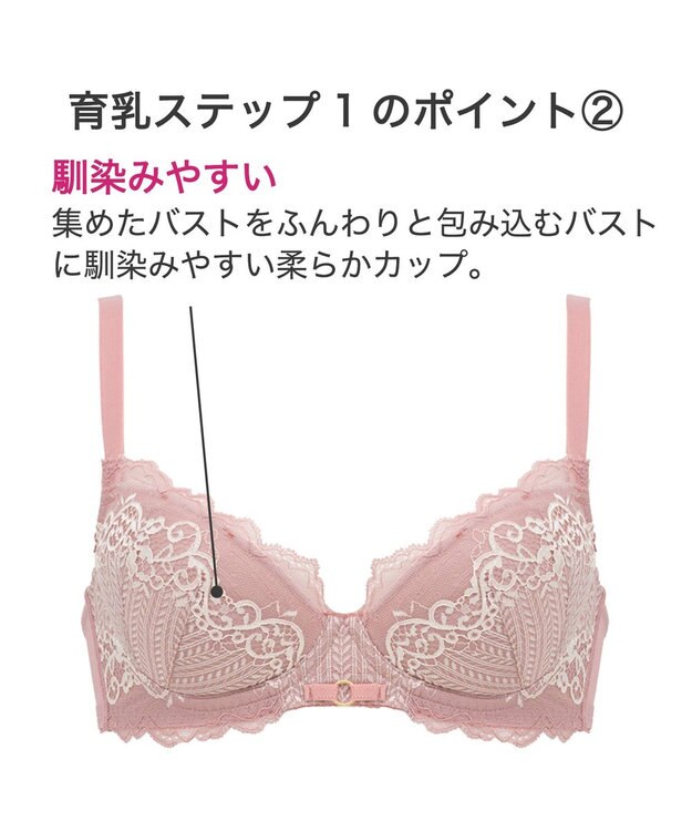 BRADELIS New York 【BRADELIS New York】ジャスミンステップ１ブラ23S1 しっかりバストを集めてナチュラルなシルエットを作る補整ブラ ブルー